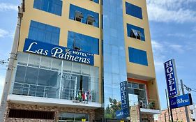 Hotel Las Palmeras